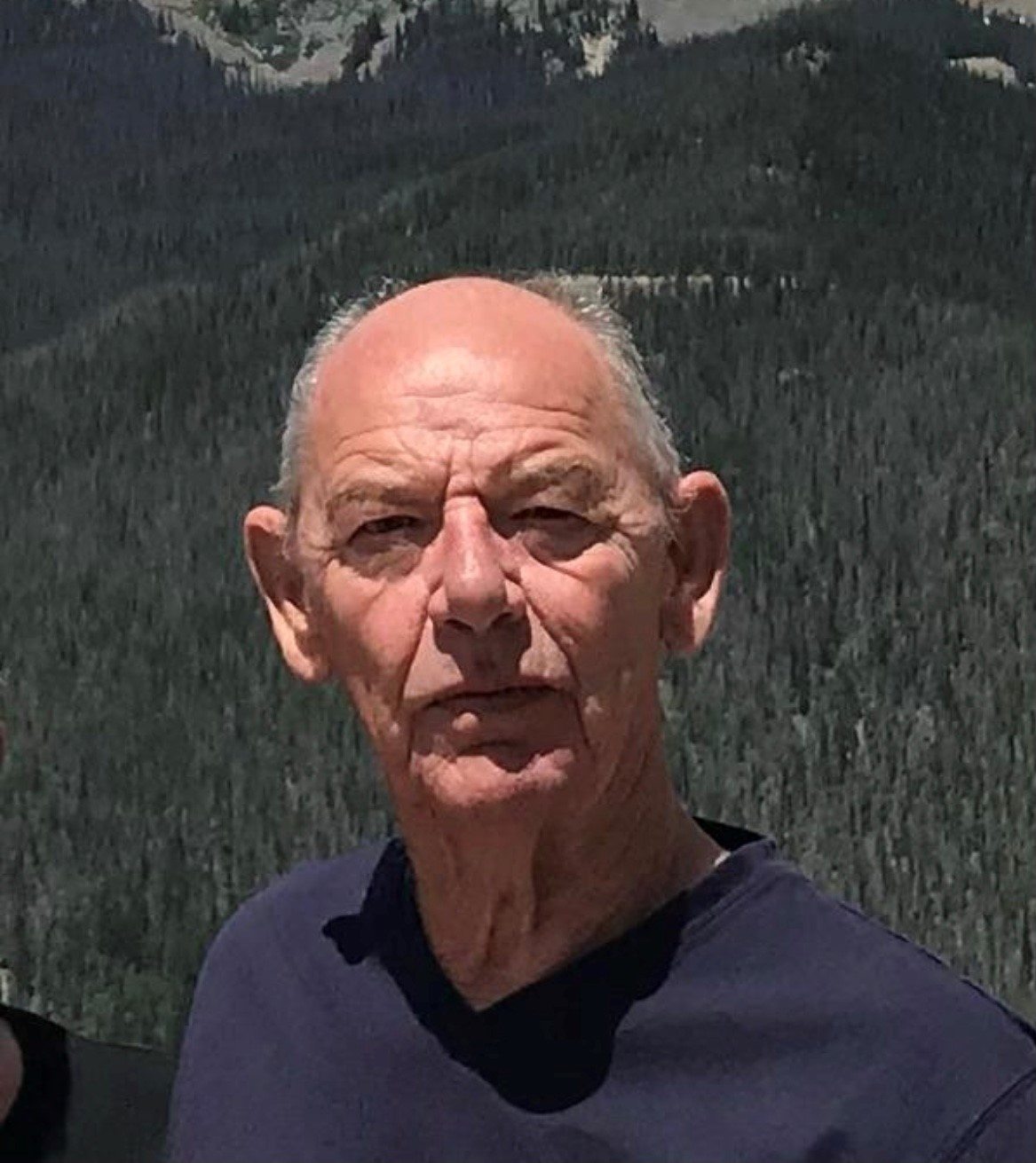 Walklett